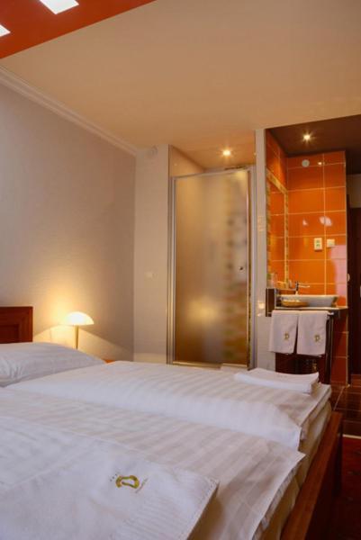 Hotel Druzba Михаловце Стая снимка